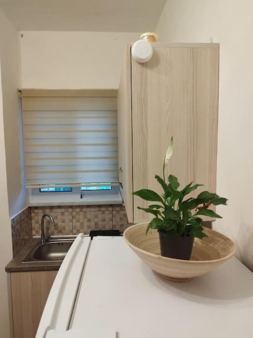 Esteticaapartments Rhodes City Extérieur photo