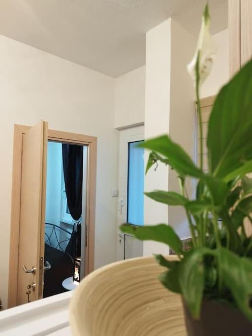 Esteticaapartments Rhodes City Extérieur photo